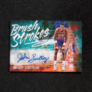 2018-19 John Salley Court Kings Brush Strokes Auto Ruby /99